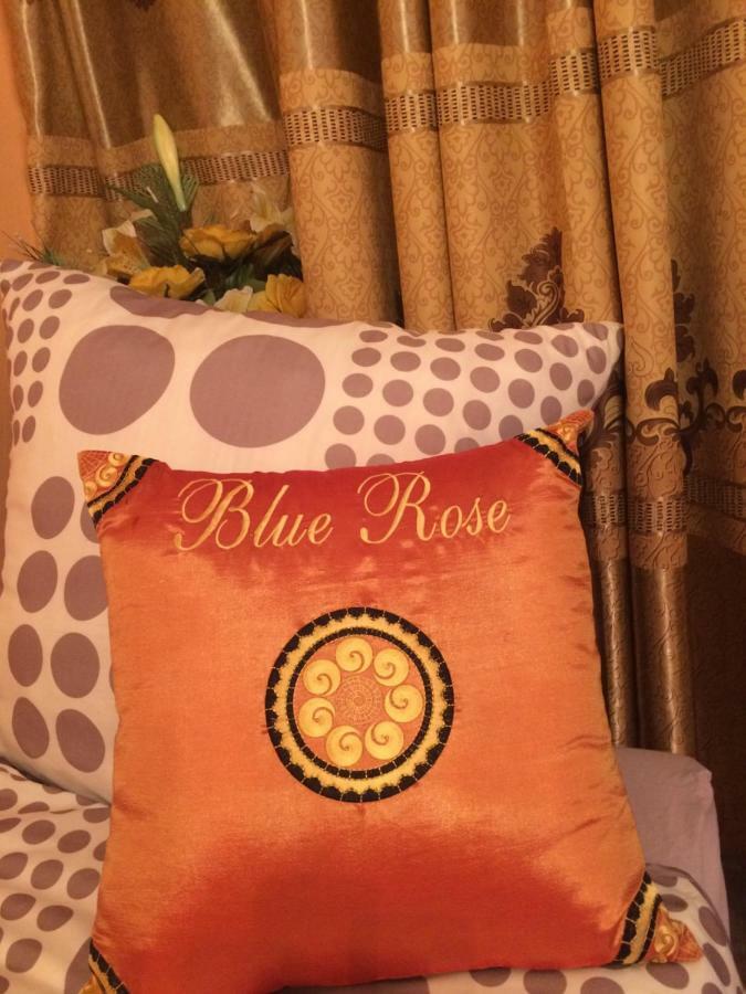 Blue Rose Apartman Karlovy Vary Exteriér fotografie